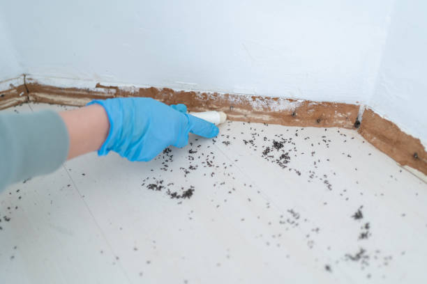 Best Pest Prevention Services  in Manchester, PA